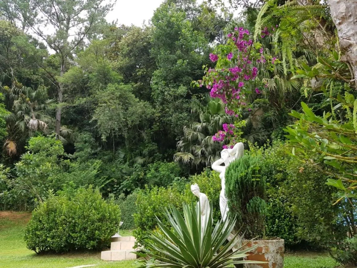 Domus Espaço In Sol e Natureza Blumenau