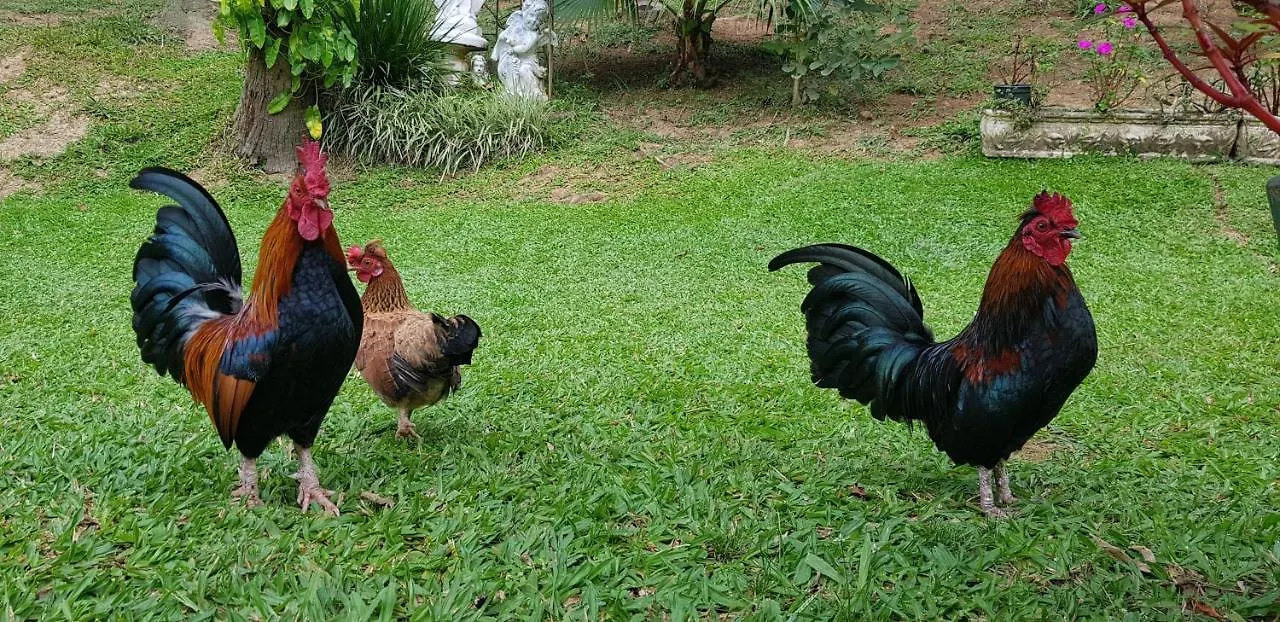 Apartamento Domus Espaço In Sol e Natureza Blumenau Brasil