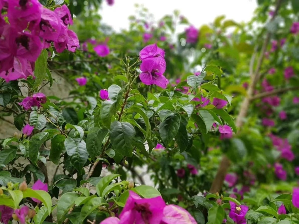 Domus Espaco In Sol E Natureza Blumenau Lägenhet